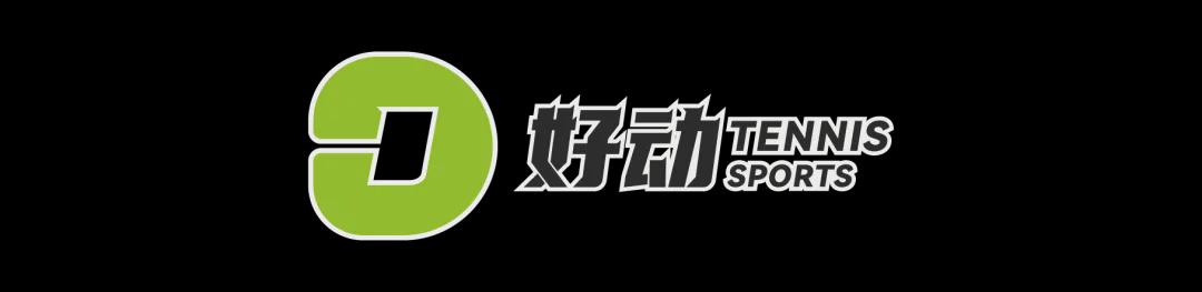 永远不要轻看世界杯上的克罗地亚人